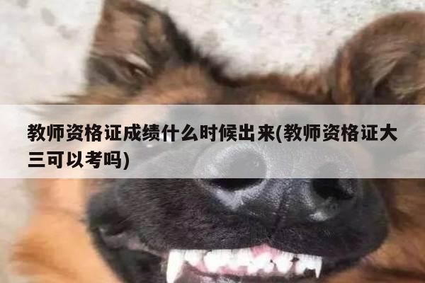 教师资格证成绩什么时候出来(教师资格证大三可以考吗)