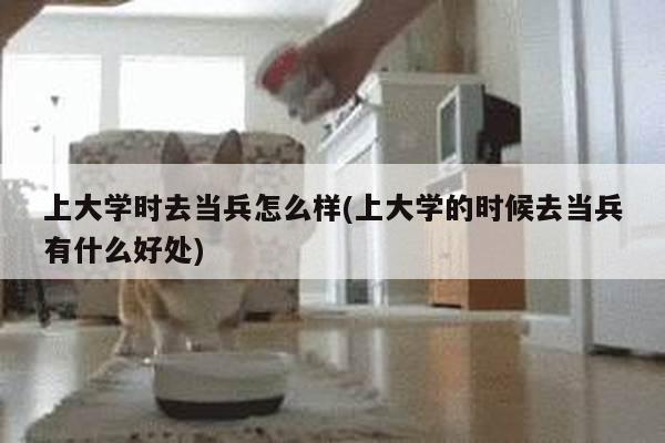 上大学时去当兵怎么样(上大学的时候去当兵有什么好处)