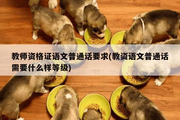 教师资格证语文普通话要求(教资语文普通话需要什么样等级)