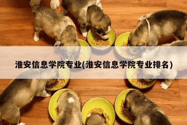淮安信息学院专业(淮安信息学院专业排名)