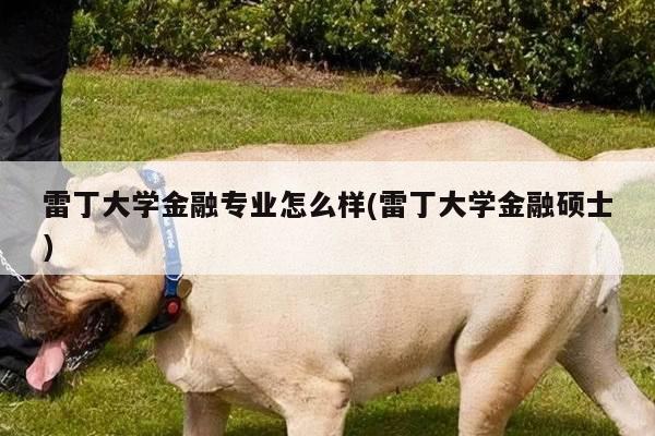 雷丁大学金融专业怎么样(雷丁大学金融硕士)