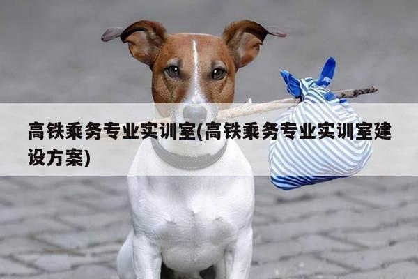 高铁乘务专业实训室(高铁乘务专业实训室建设方案)