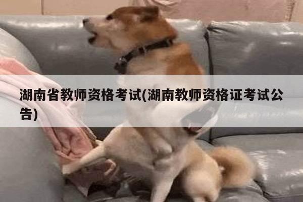 湖南省教师资格考试(湖南教师资格证考试公告)