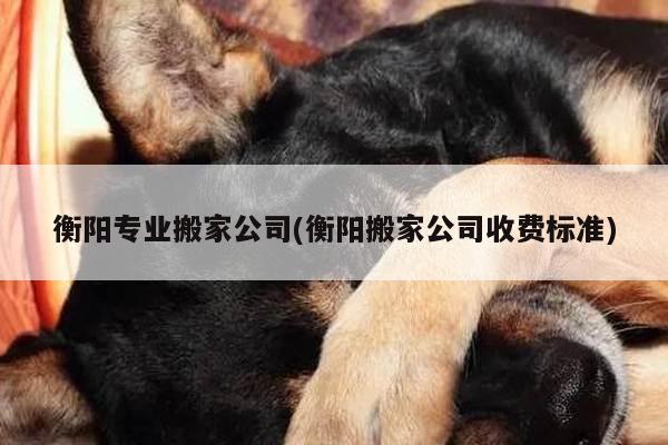 衡阳专业搬家公司(衡阳搬家公司收费标准)