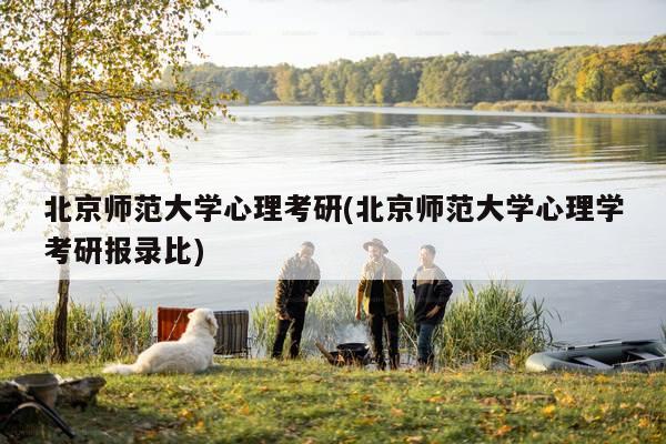 北京师范大学心理考研(北京师范大学心理学考研报录比)