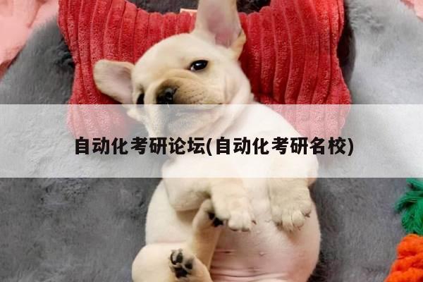 自动化考研论坛(自动化考研名校)