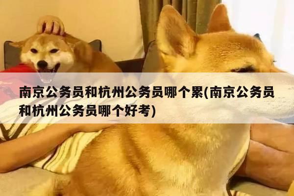 南京公务员和杭州公务员哪个累(南京公务员和杭州公务员哪个好考)