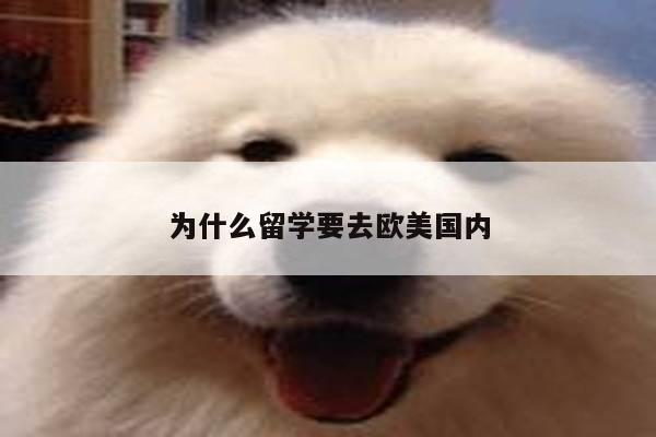 为什么留学要去欧美国内