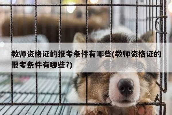 教师资格证的报考条件有哪些(教师资格证的报考条件有哪些?)