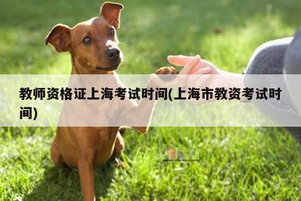 教师资格证上海考试时间(上海市教资考试时间)