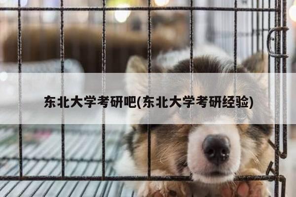 东北大学考研吧(东北大学考研经验)