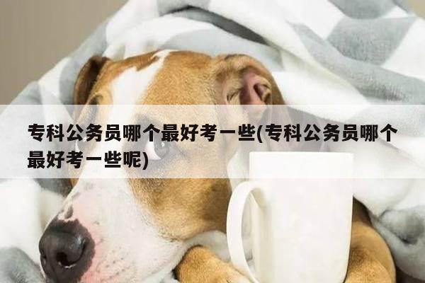 专科公务员哪个最好考一些(专科公务员哪个最好考一些呢)