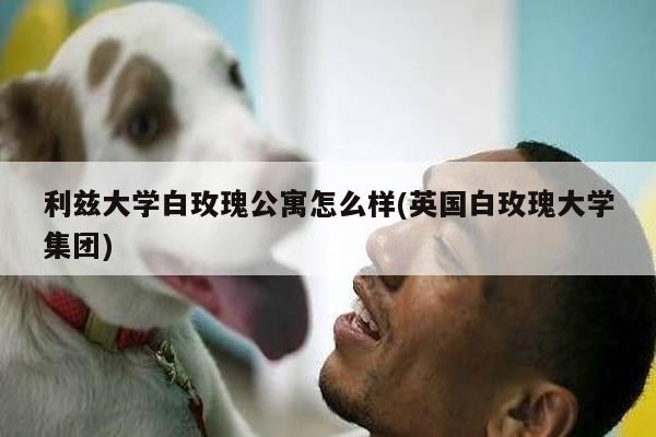 利兹大学白玫瑰公寓怎么样(英国白玫瑰大学集团)