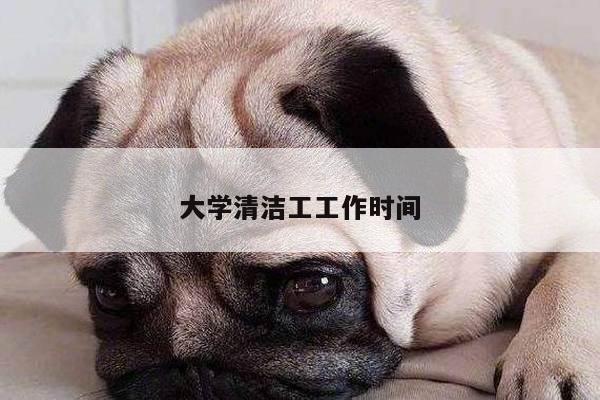 大学清洁工工作时间