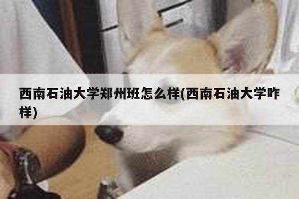 西南石油大学郑州班怎么样(西南石油大学咋样)