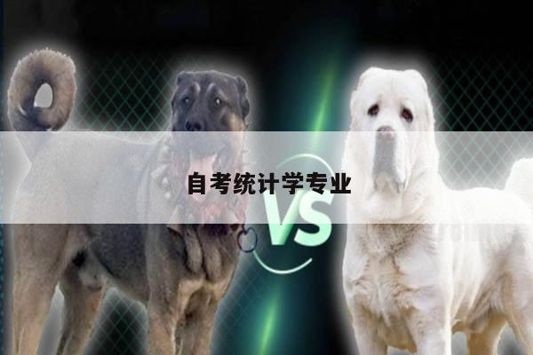 自考统计学专业