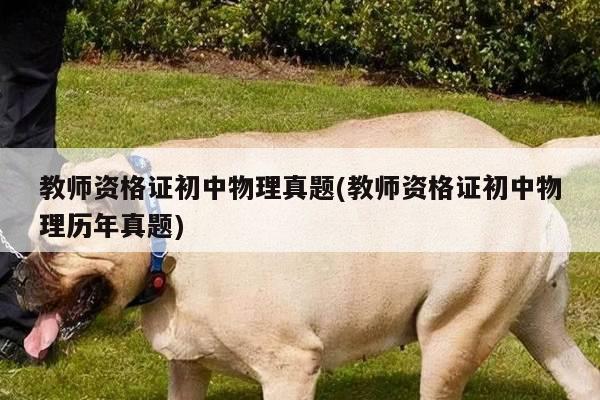 教师资格证初中物理真题(教师资格证初中物理历年真题)