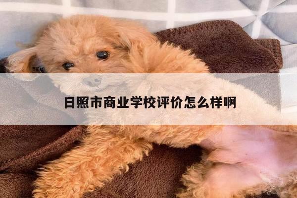 日照市商业学校评价怎么样啊
