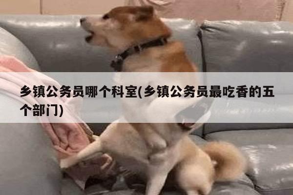 乡镇公务员哪个科室(乡镇公务员最吃香的五个部门)