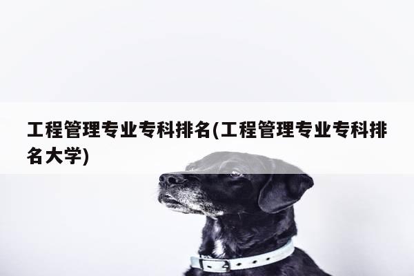 工程管理专业专科排名(工程管理专业专科排名大学)