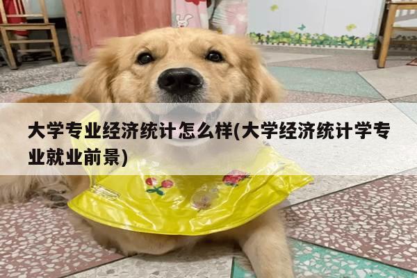 大学专业经济统计怎么样(大学经济统计学专业就业前景)