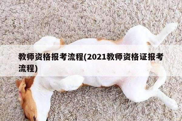 教师资格报考流程(2021教师资格证报考流程)