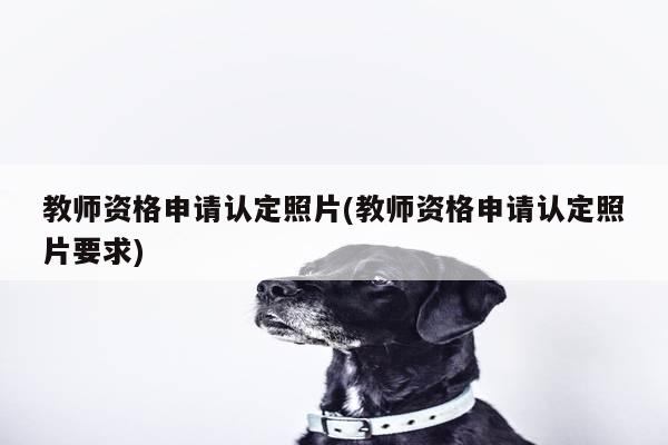 教师资格申请认定照片(教师资格申请认定照片要求)