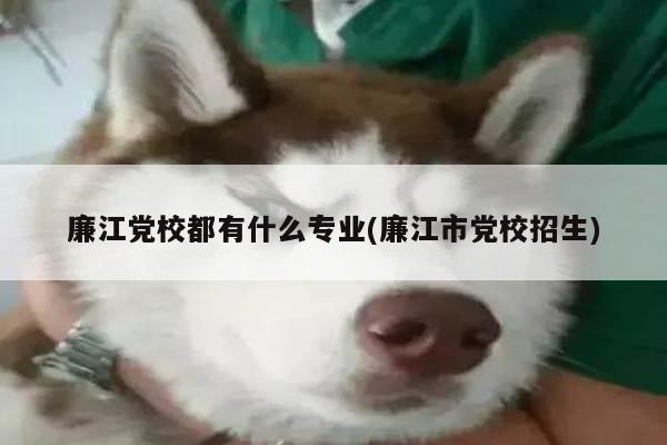 廉江党校都有什么专业(廉江市党校招生)
