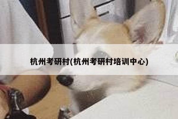杭州考研村(杭州考研村培训中心)