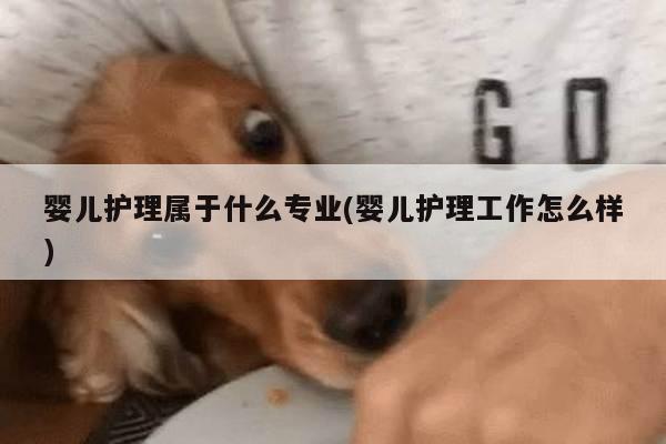婴儿护理属于什么专业(婴儿护理工作怎么样)