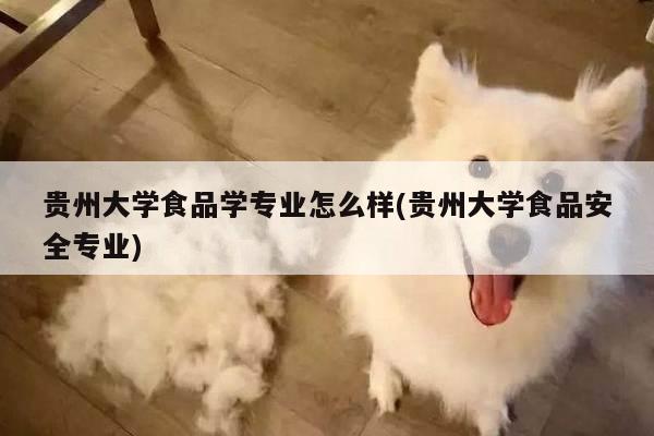贵州大学食品学专业怎么样(贵州大学食品安全专业)