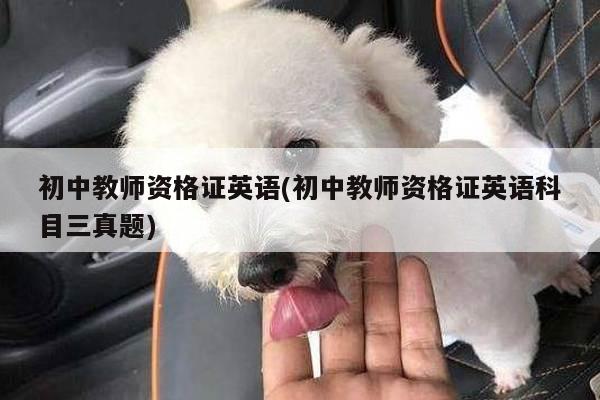 初中教师资格证英语(初中教师资格证英语科目三真题)