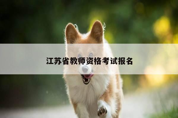 江苏省教师资格考试报名