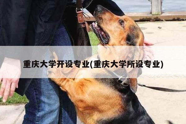 重庆大学开设专业(重庆大学所设专业)