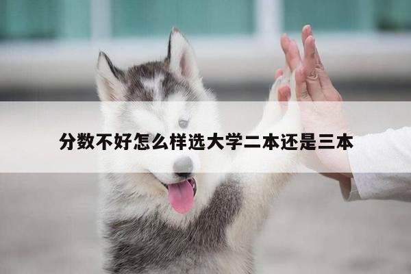 分数不好怎么样选大学二本还是三本