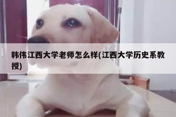 韩伟江西大学老师怎么样(江西大学历史系教授)