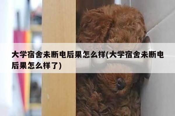 大学宿舍未断电后果怎么样(大学宿舍未断电后果怎么样了)