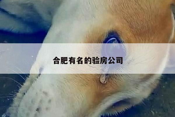 合肥有名的验房公司
