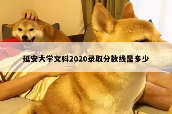 延安大学文科2020录取分数线是多少