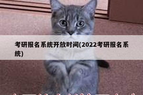 考研报名系统开放时间(2022考研报名系统)